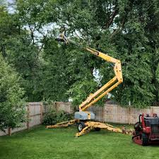 Best Tree Health Inspection  in Wetumpka, AL
